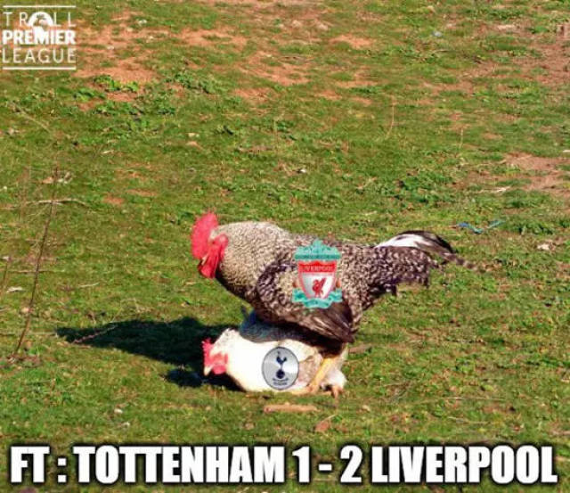 4-1，挪威是世预赛历史上第二支客场击败意大利的球队（4-1客胜意大利，挪威成世预赛史上第二支在客场击败意大利的球队）